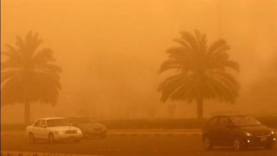 مصر.. الأرصاد الجوية تحذر من الذباب الصحراوي المرافق لرياح الخماسين - مرصد الشرق الأوسط و شمال أفريقيا