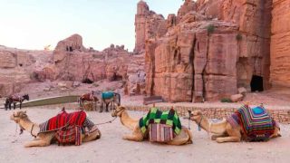 2.1 مليار دولار اجمالي الدخل السياحي في الأردن خلال أربعة أشهر