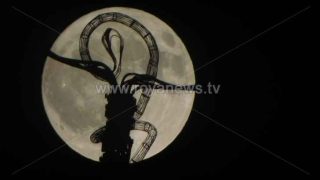 بدر الفراولة يزين سماء الأردن