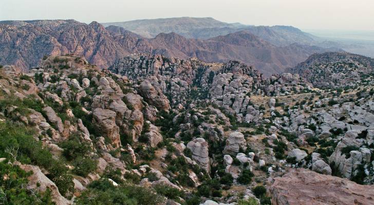 إقبال سياحي خجول على مدن الجنوب ضمن برنامج "أردننا جنة"