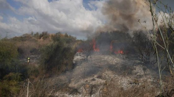 المشهد المعاصر | الحوثيون: استهداف أراضي الاحتلال يأتي في إطار المرحلة الخامسة وتتويجاً لتطوير التقنية الصاروخية