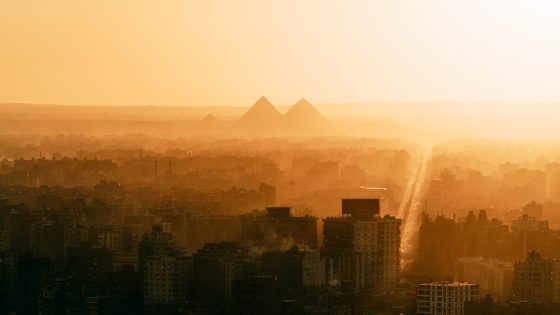 مصر.. لوحة سيارة مميزة يتجاوز سعرها مليون جنيه