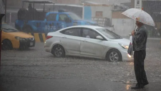 المشهد المعاصر | تعرف الى المحافظات الأعلى فرصا لهطول الأمطار الجمعة