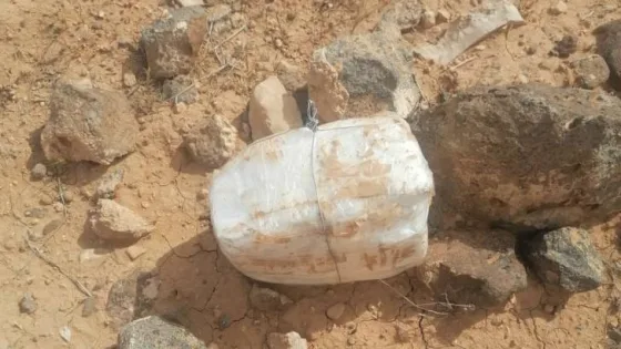 المشهد المعاصر | الجيش العربي يحبط عملية تهريب على الحدود الشرقية.. تفاصيل