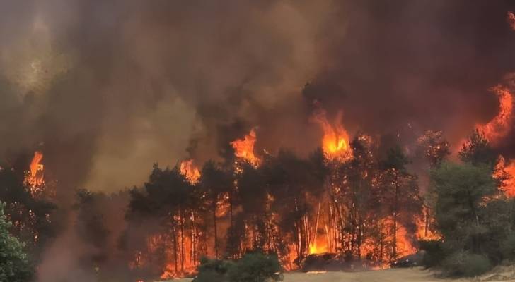 Image 1 from gallery