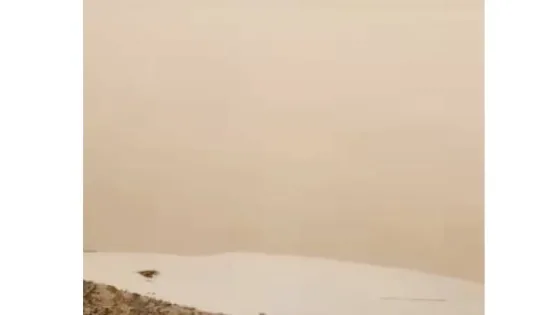 المشهد المعاصر | الأمن العام: إغلاق مؤقت لطريق وادي عربة من الريشة إلى غرندل بسبب انعدام الرؤية