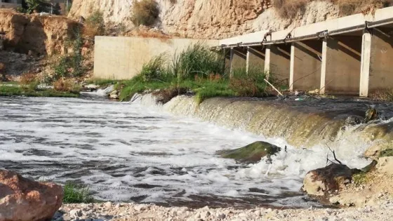 المشهد المعاصر | الجهات المختصة تتخذ إجراءات احترازية بعد نفوق أسماك في سيل جرش
