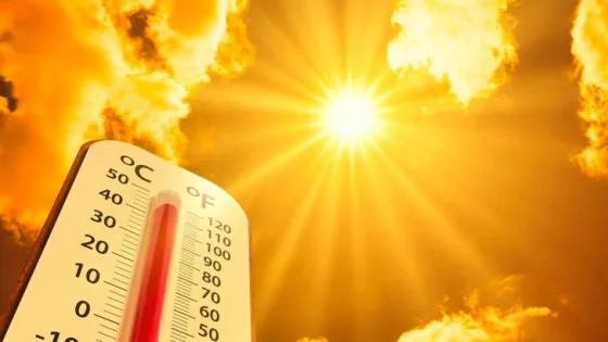 المشهد المعاصر | درجات الحرارة تتجاوز الـ40 في بعض مناطق الأردن السبت مع وصول موجة الحر إلى ذروتها