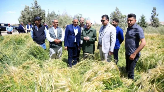 المشهد المعاصر | رئيس الديوان الملكي يتفقد مشاريع مبادرات ملكية زراعية في معان والعقبة