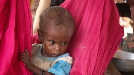 المشهد المعاصر | شبكة أطباء السودان:وفاة 13 لاجئًا خلال أسبوع بسبب الجوع في معسكر “قاقا” بتشاد