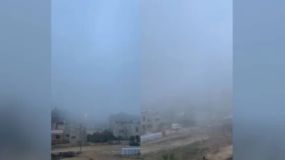 المشهد المعاصر | ضباب كثيف وأجواء باردة.. وفرص لهطول الأمطار الإثنين بهذه المناطق بالأردن