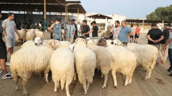 المشهد المعاصر | عادات الأردنيين في عيد الأضحى.. “فرحة الأضحية” تجمع العائلة على موائد الخير