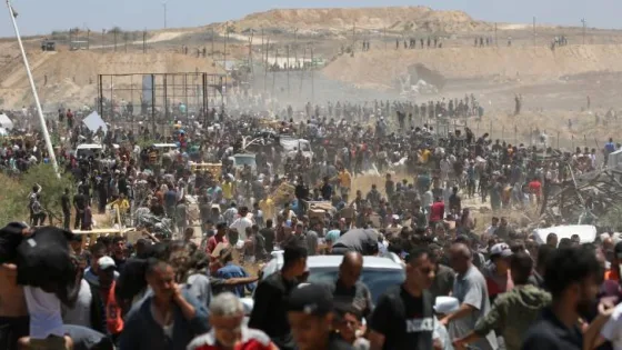 المشهد المعاصر | مسؤول في حماس: سنرفض مقترح ويتكوف الجديد بشأن الهدنة في غزة