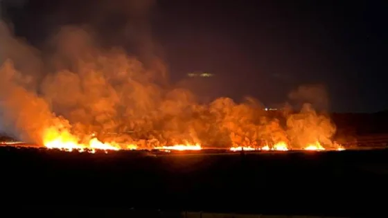 المشهد المعاصر | مستوطنون يحرقون أراضي زراعية فلسطينية في قرية المغير شمال شرق رام الله