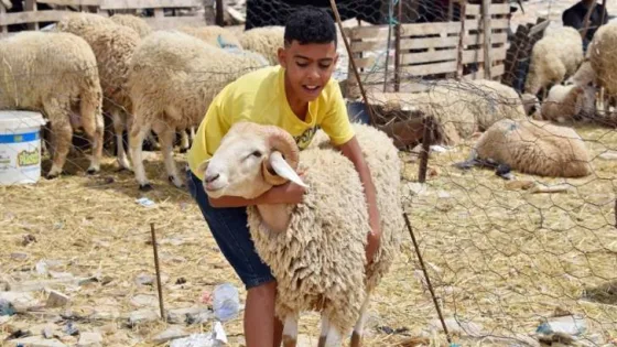 المشهد المعاصر | موعد تحري هلال شهر ذي الحجة وتوقعات عيد الأضحى والعطلة في الأردن