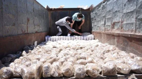 المشهد المعاصر | الداخلية السورية: ضبط نصف مليون حبة كبتاغون في سيارة قادمة من لبنان