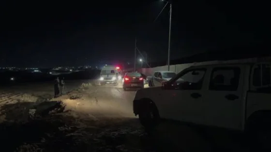 المشهد المعاصر | سقوط شظايا أجسام طائرة مجهولة في الشونة الجنوبية وبصيرا دون إصابات