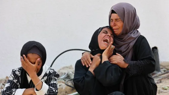 المشهد المعاصر | صحة غزة: وصول 103 شهداء إلى مستشفيات القطاع خلال 24 ساعة