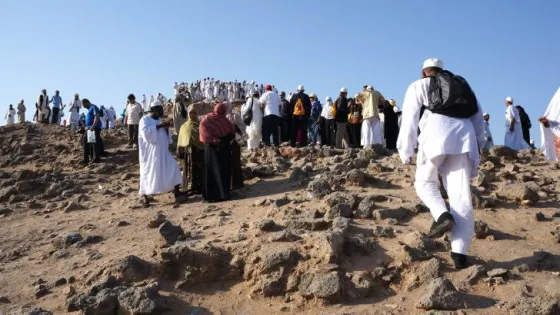 المشهد المعاصر | ما حكم الحج بالمال المسروق؟ الإفتاء الأردنية توضح