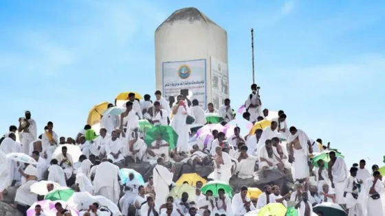 المشهد المعاصر | مشعر عرفات.. ركن الحج الأعظم والتطورات الحديثة التي شهدها لخدمة ضيوف الرحمن