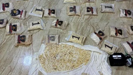 المشهد المعاصر | الجيش العربي: المنطقة العسكرية الشرقية تحبط محاولة تهريب بواسطة بالونات