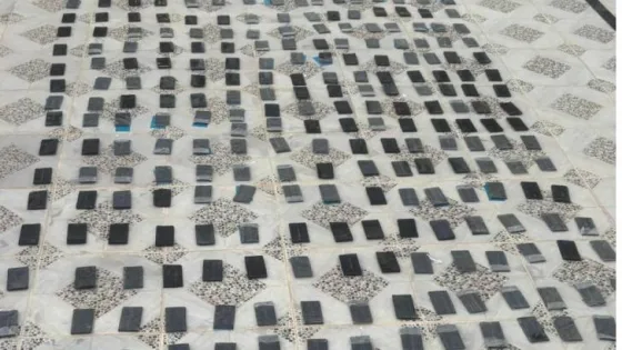 المشهد المعاصر | الجيش العربي: المنطقة العسكرية الشمالية تحبط محاولة تهريب كمية كبيرة من المخدرات