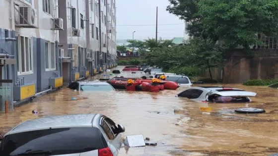 المشهد المعاصر | الخارجية: جميع المواطنين الأردنيين المقيمين والمتواجدين في جمهورية كوريا بخير