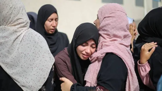 المشهد المعاصر | صحة غزة: 116 شهيدًا و 463 إصابة خلال 24 ساعة