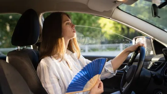 المشهد المعاصر | موجة حارة قوية تضرب دولًا عربية.. هل تمتد إلى الأردن؟