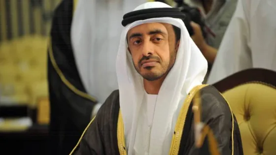 المشهد المعاصر | وزير الخارجية الإماراتي: سنستأنف إسقاط المساعدات جوا في غزة وسنواصل إيصال الدعم الإغاثي