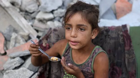 المشهد المعاصر | الأمم المتحدة تحذر من مجاعة “من صنع الإنسان” في غزة وتطالب بعمل عاجل