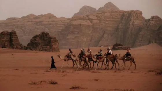 المشهد المعاصر | الدخل السياحي للأردن يقفز إلى 4.4 مليار دولار في 7 أشهر.. رغم تراجع شهر تموز
