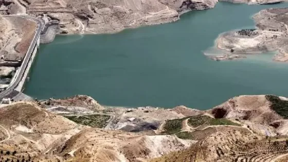 المشهد المعاصر | خبير في قطاع المياه.. مخزون السدود في خطر وتحلية مياه العقبة هو الحل