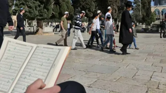 المشهد المعاصر | مستوطنون يقتحمون الأقصى ويؤدون رقصات استفزازية أمام قبة الصخرة