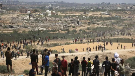 المشهد المعاصر | مصادر طبية: إستشهاد 20 فلسطينياً بانقلاب شاحنة مساعدات في غزة