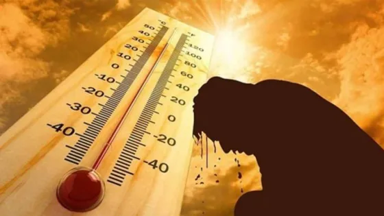 المشهد المعاصر | مع استمرار الموجة الحارة.. دليل شامل لحماية نفسك وأسرتك من الإجهاد الحراري وضربات الشمس
