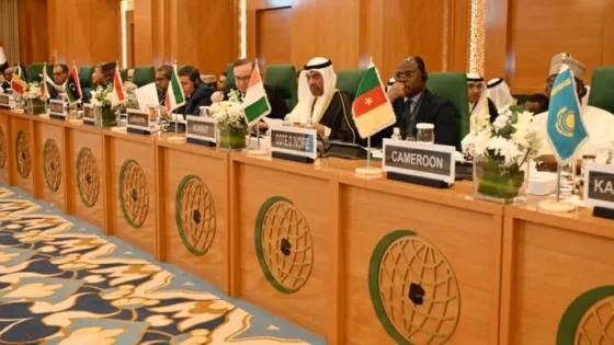 المشهد المعاصر | منظمة التعاون الإسلامي تدعو مجلس الأمن لجلسة عاجلة وتدين اغتيال الصحفيين في غزة
