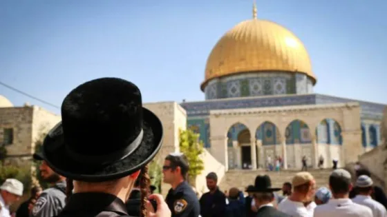 المشهد المعاصر | وزير الأوقاف الأردني يدين اقتحام بن غفير للأقصى ويحمل الاحتلال مسؤولية التصعيد
