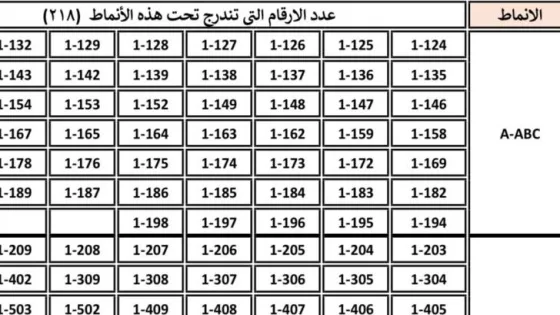 المشهد المعاصر | “الترخيص” تطرح 218 رقم سيارة ثلاثيًا مميزًا للبيع المباشر إلكترونيًا الأحد