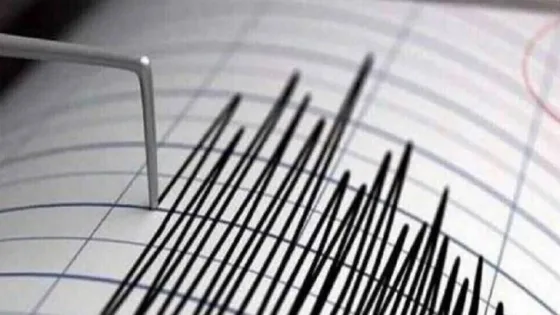 المشهد المعاصر | هزة أرضية بقوة 4.6 ريختر تضرب مدينة شهداد بمحافظة كرمان جنوب شرق إيران